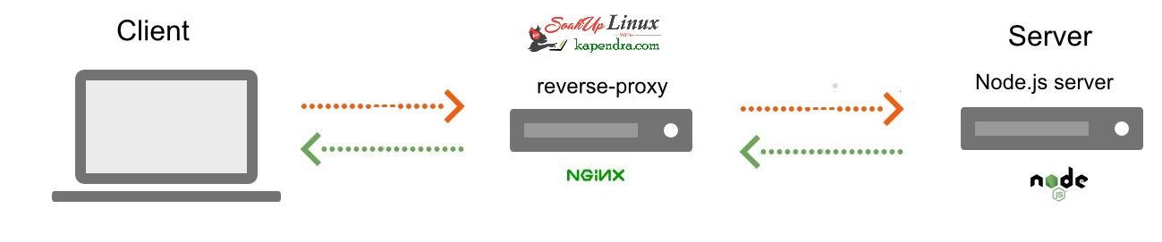 Nginx Reverse Proxy For NodeJs