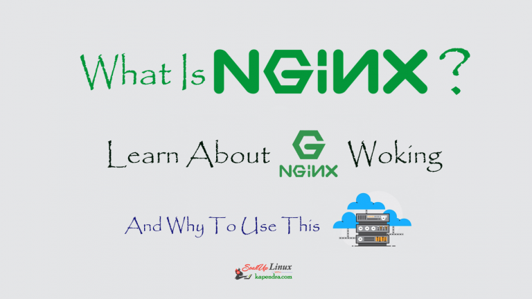 What Is NGINX? Learn About Its Working And Why To Use It?